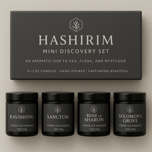 Hashirim Mini Discovery Set